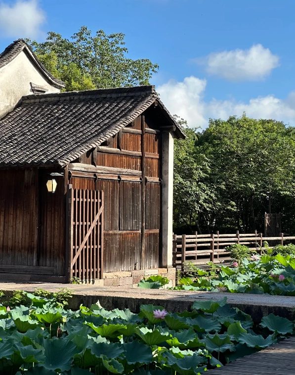 things to do in Wuzhen things to do in Wuzhen