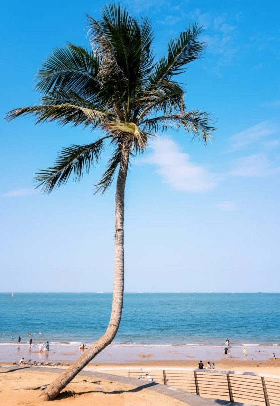 Haikou travel guide autumn