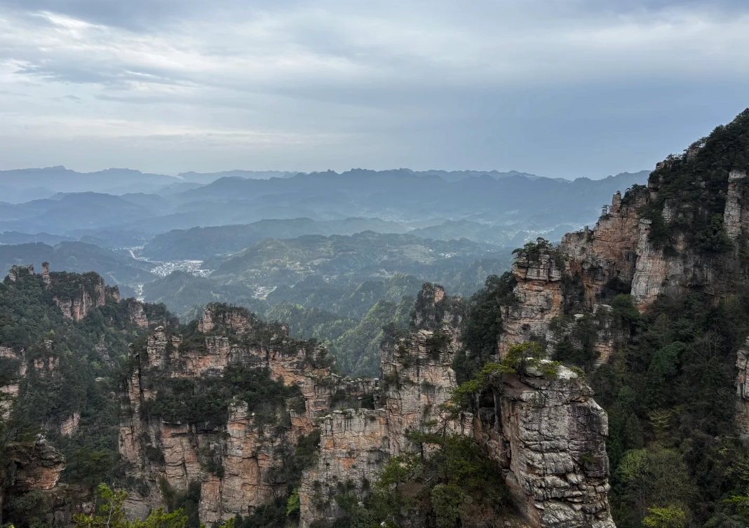 summer forest parks China summer forest parks China