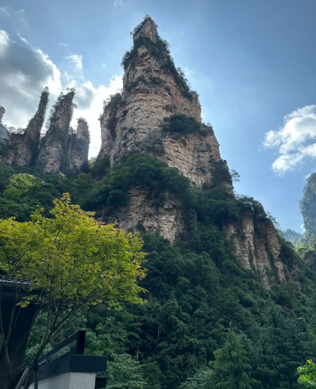 best forest parks in China summer best forest parks in China summer