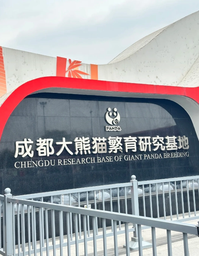Chengdu panda base tickets Chengdu panda base tickets