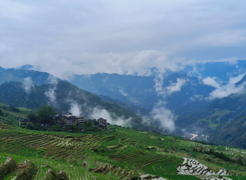 when to visit Longji rice terraces when to visit Longji rice terraces