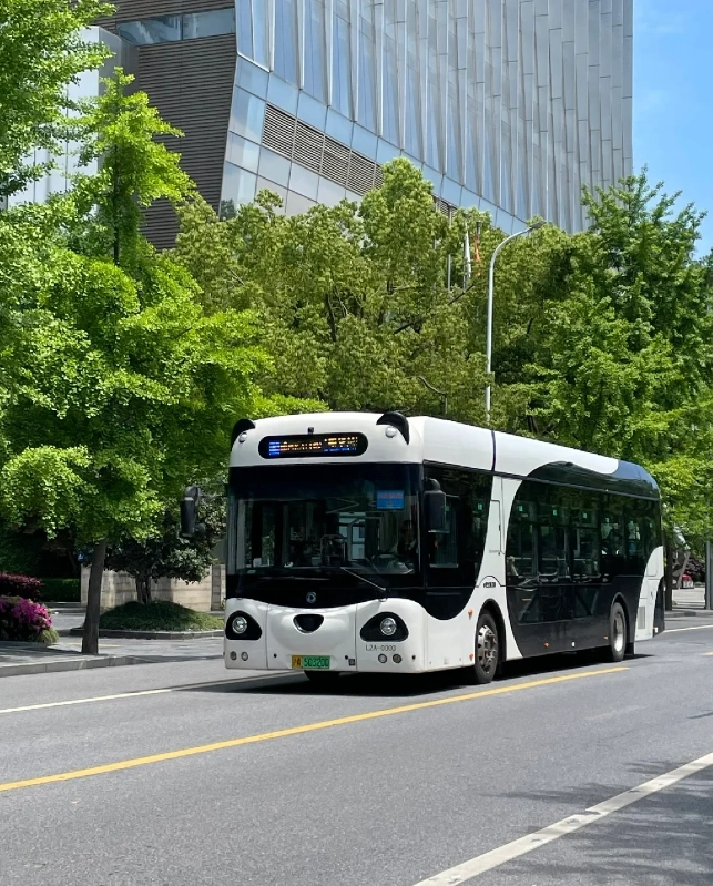 Chongqing bus payment methods