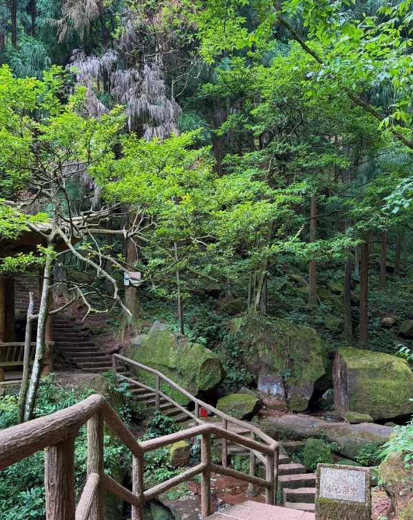 Chongqing nature escape Chongqing nature escape