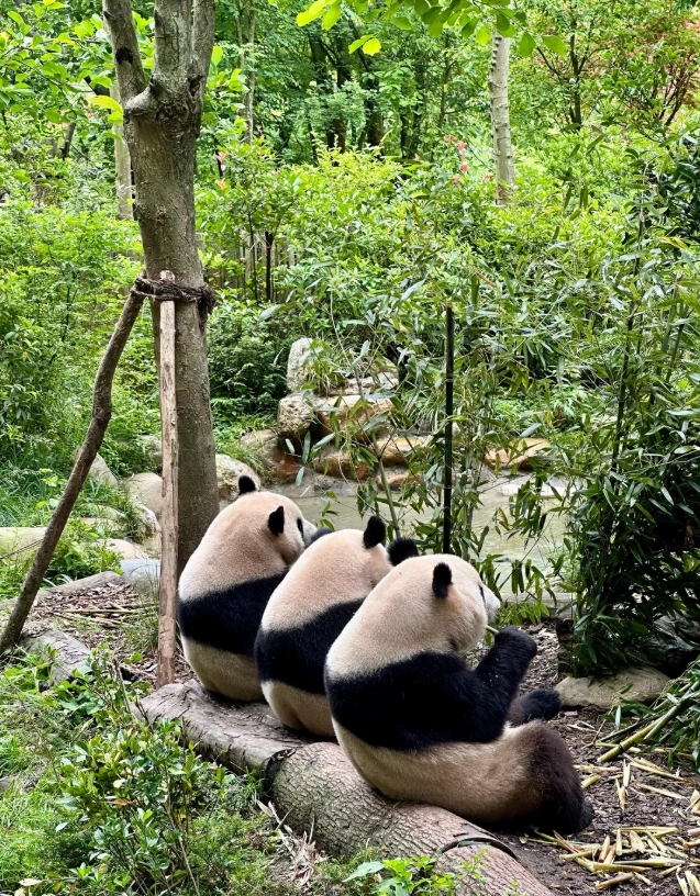 best places to visit in china best places to visit in china