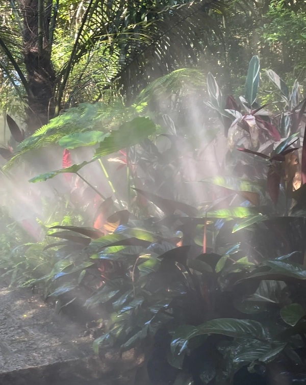 Xiamen Botanical Garden admission fee