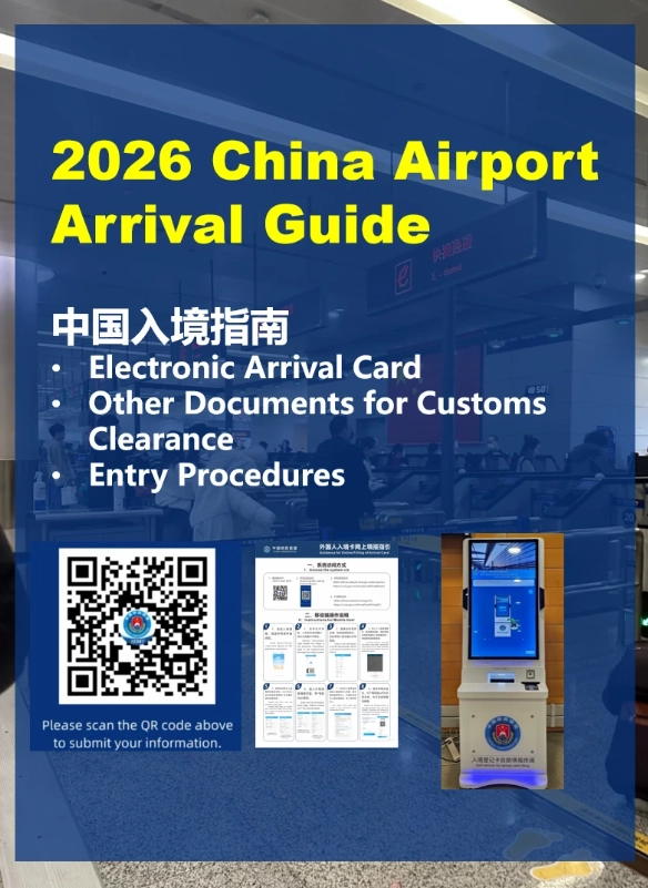 china customs declaration form