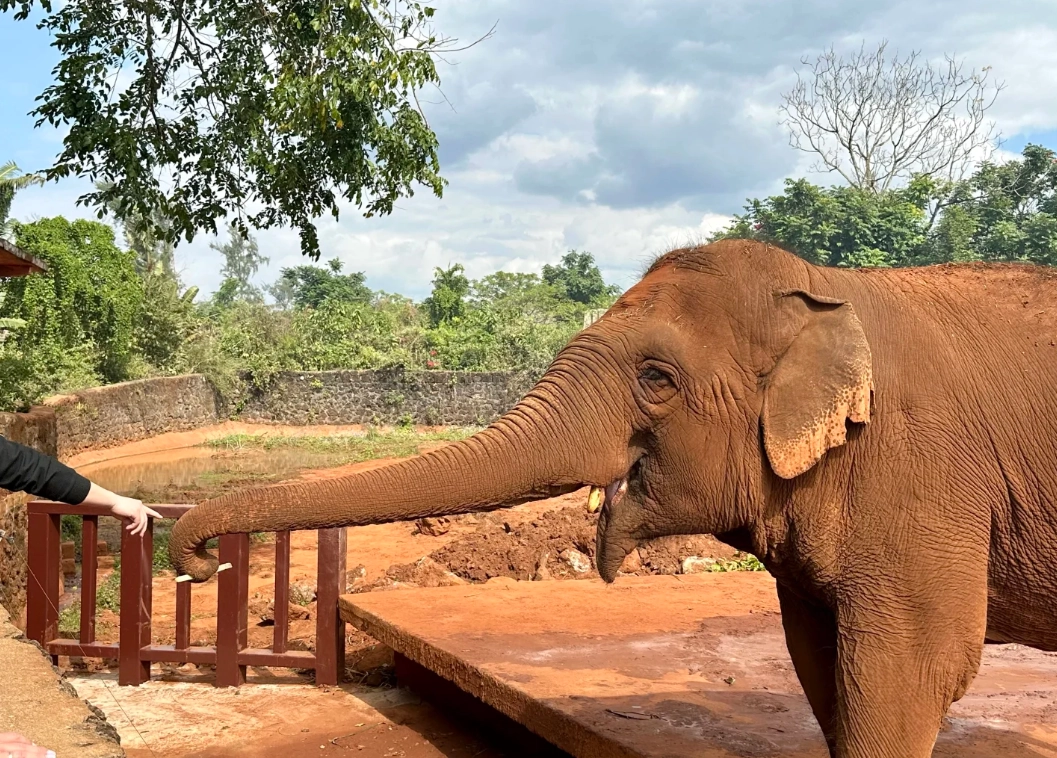 Hainan Wildlife Park discount