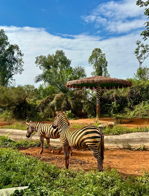Hainan Tropical Wildlife Park booking