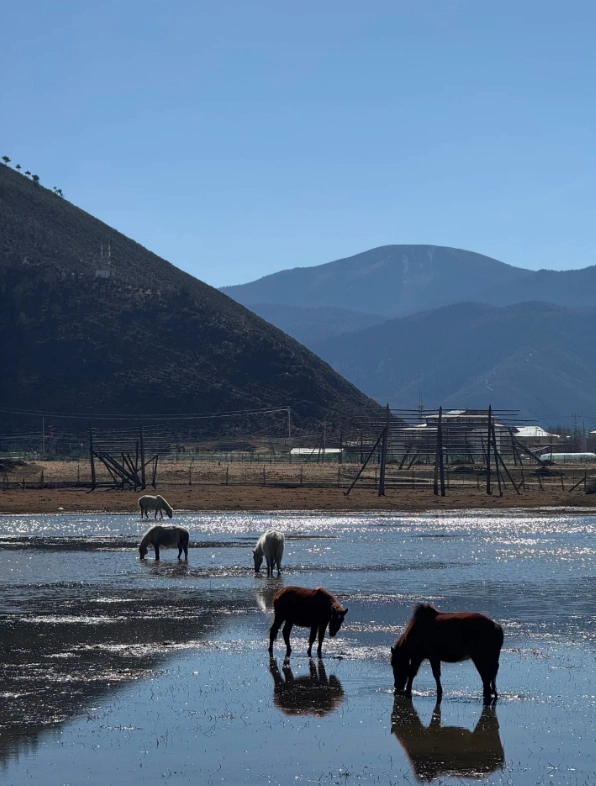 7 days Yunnan itinerary