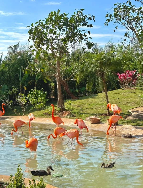 how to visit Hainan Wildlife Park