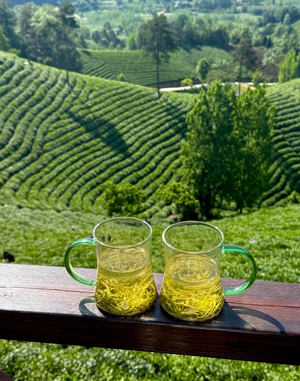Longjing tea village tour Longjing tea village tour