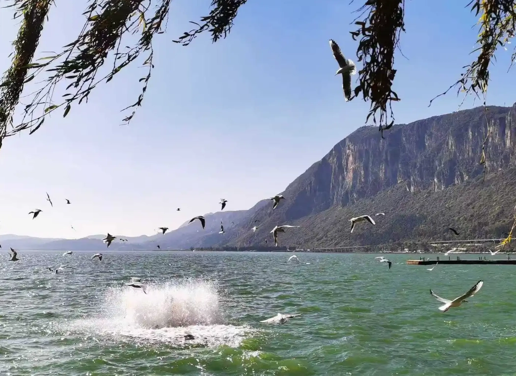 yunnan travel itinerary yunnan travel itinerary