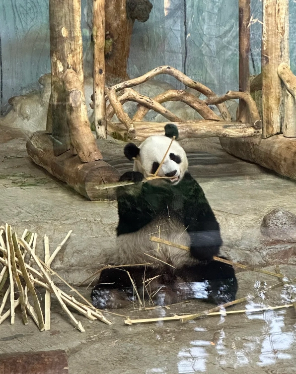 Hainan Tropical Wildlife Park price