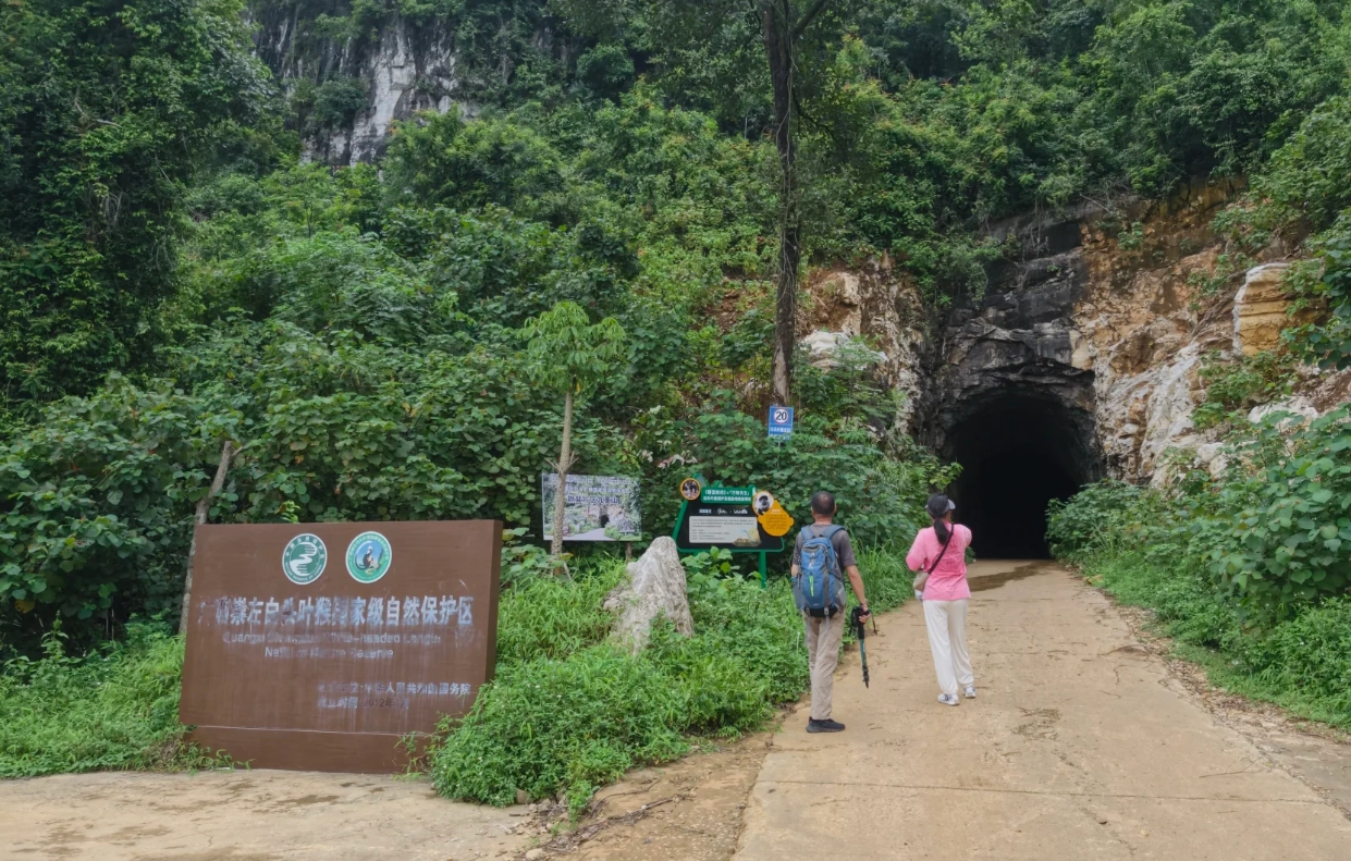how to get to white-headed langur national nature reserve how to get to white-headed langur national nature reserve