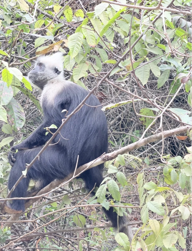 Guangxi nature reserve permits