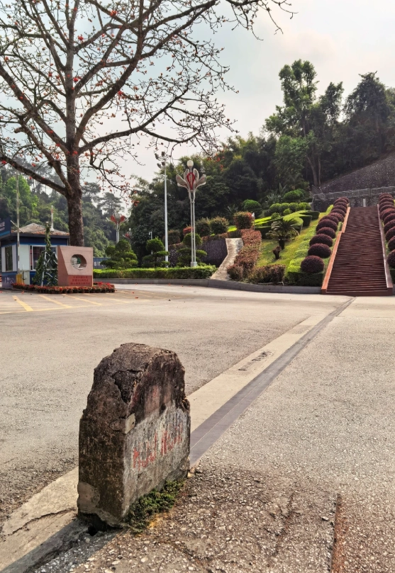 friendship pass from nanning