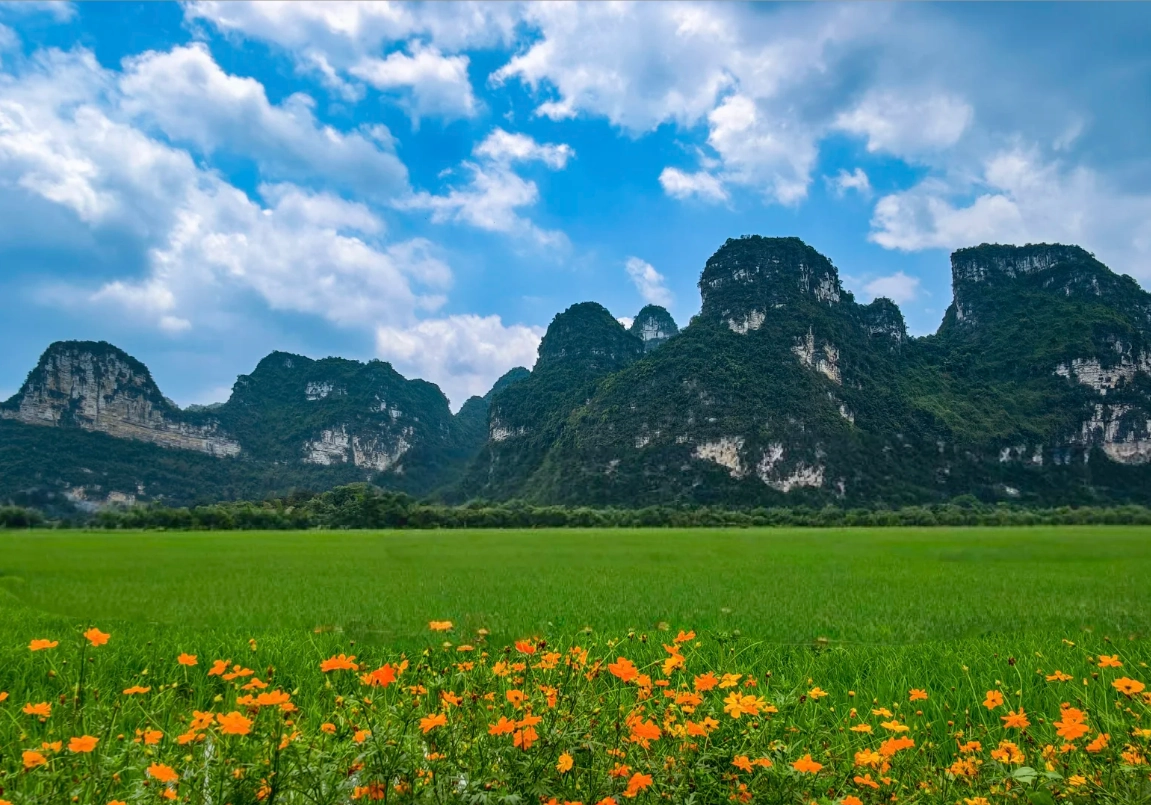 mingshi countryside boat tour mingshi countryside boat tour