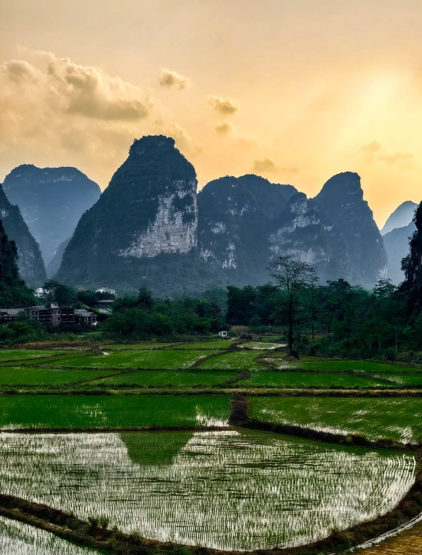 mingshi countryside tickets mingshi countryside tickets