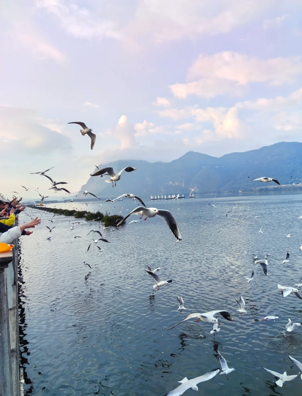 Kunming attractions Kunming attractions