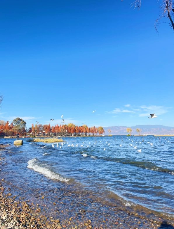 4 Days in Dali: Skip the Crowds and See the Real Yunnan