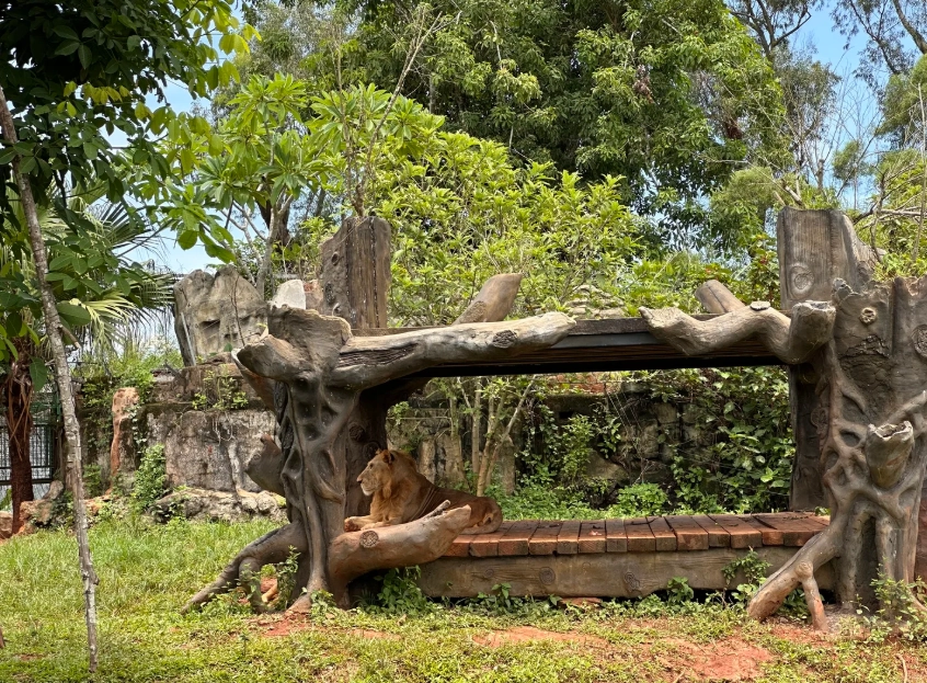 best spots for wildlife photography in Hainan best spots for wildlife photography in Hainan