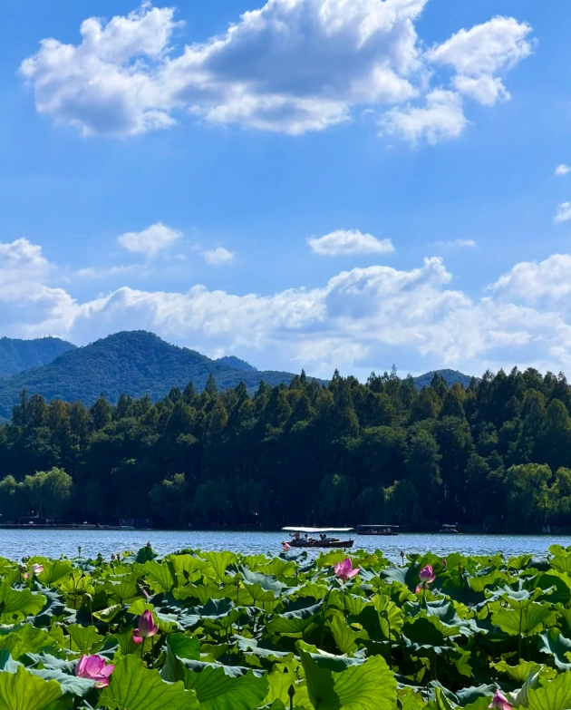 West Lake itinerary West Lake itinerary
