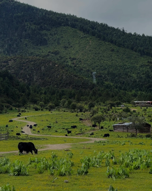 Shangri-La attractions