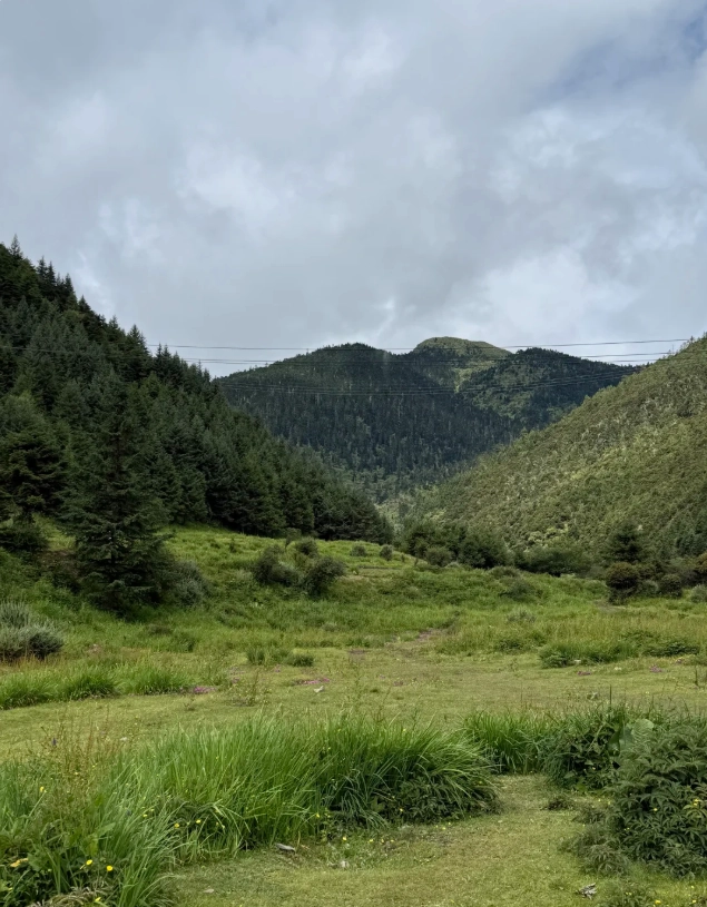Pudacuo National Park trails