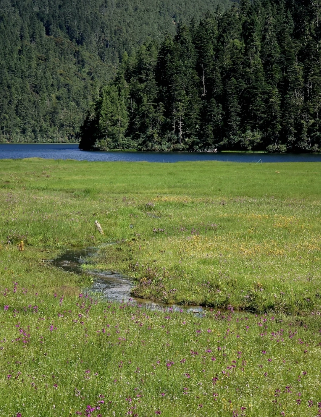 Pudacuo National Park best time to visit Pudacuo National Park best time to visit