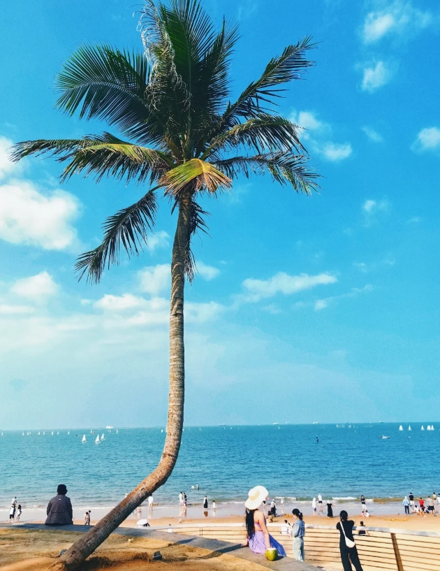 Haikou coastal walk itinerary Haikou coastal walk itinerary