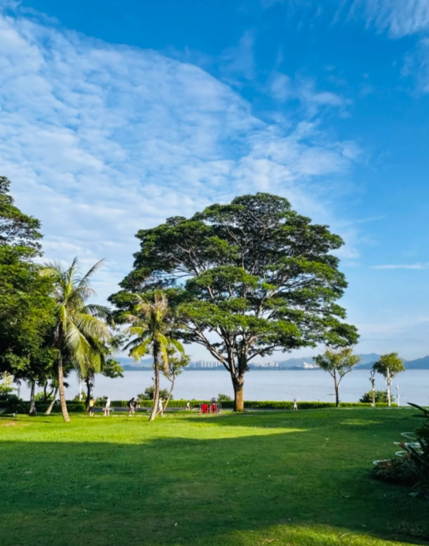 shenzhen travel guide