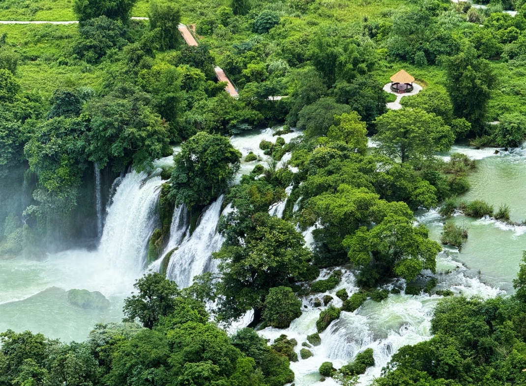detian waterfall autumn detian waterfall autumn