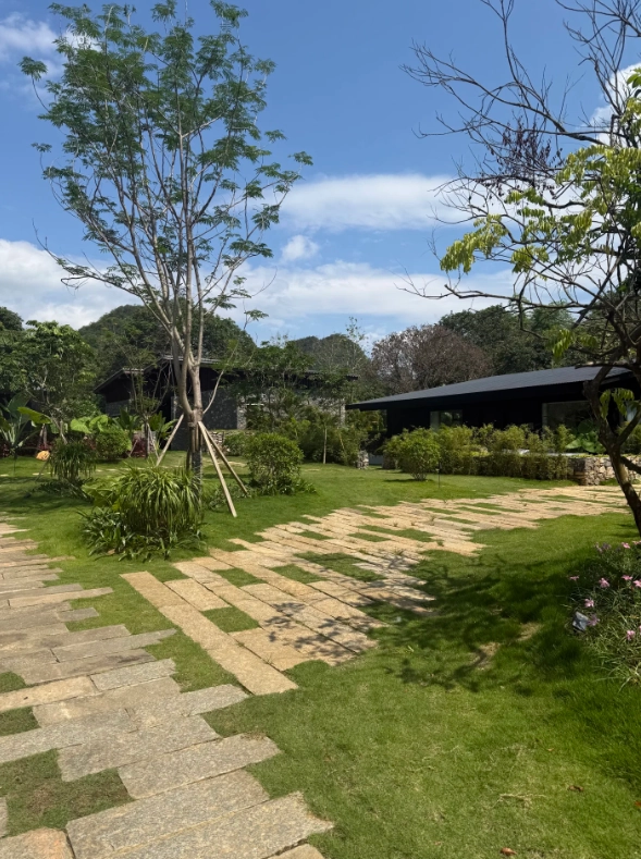 Chongzuo resorts with karst views