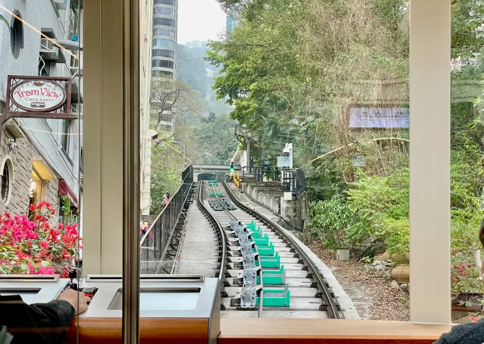what to do in Hong Kong for 12 hours