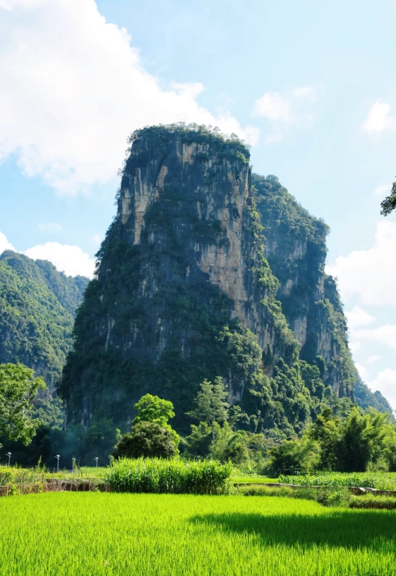 mingshi countryside