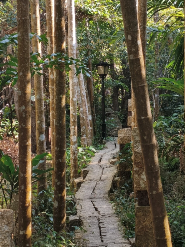 Hainan itinerary 5 days Hainan itinerary 5 days