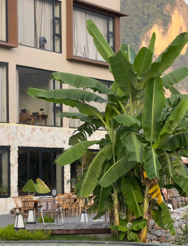 chongzuo lodging