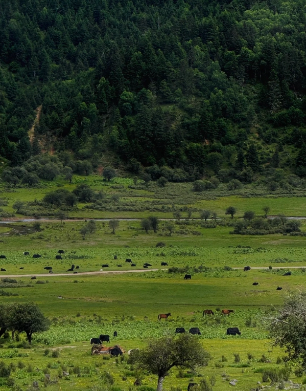 Pudacuo National Park tickets