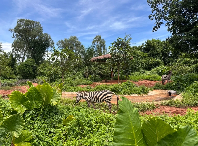 Hainan Tropical Wildlife Park photography Hainan Tropical Wildlife Park photography