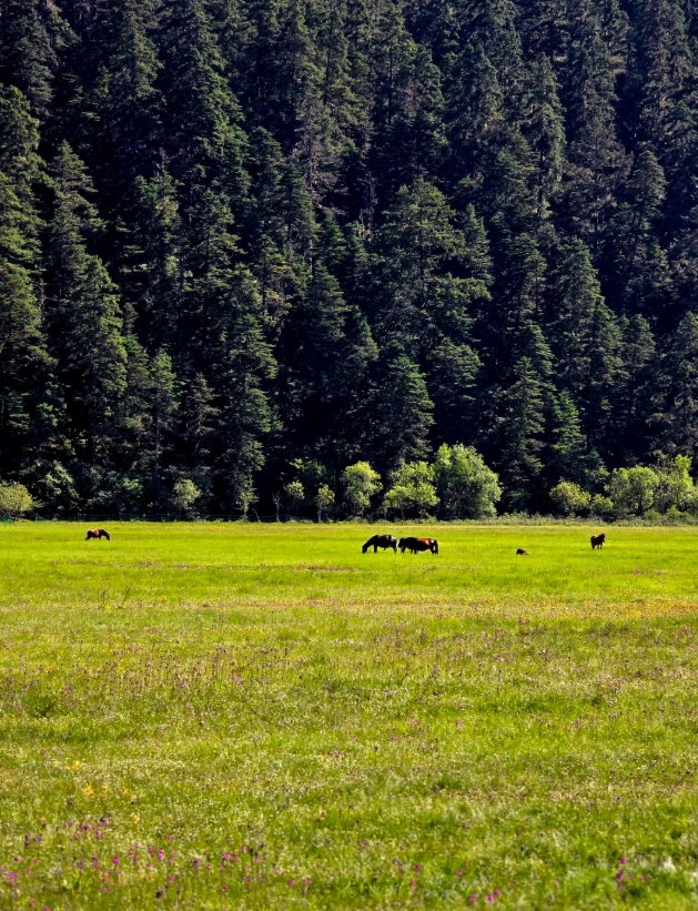 Pudacuo National Park travel tips