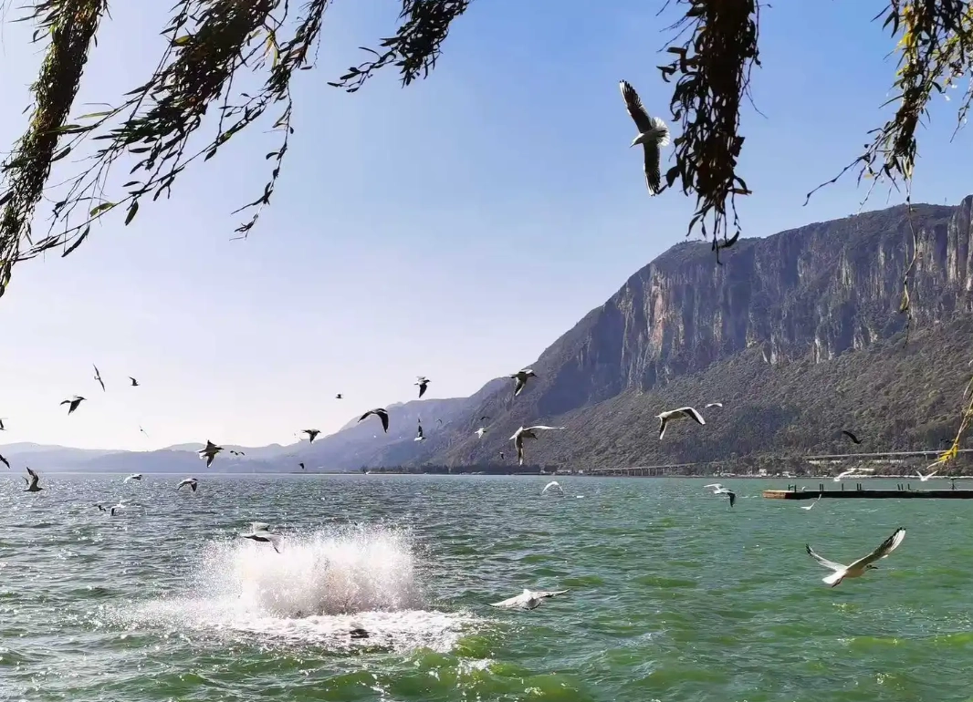 best time to visit kunming