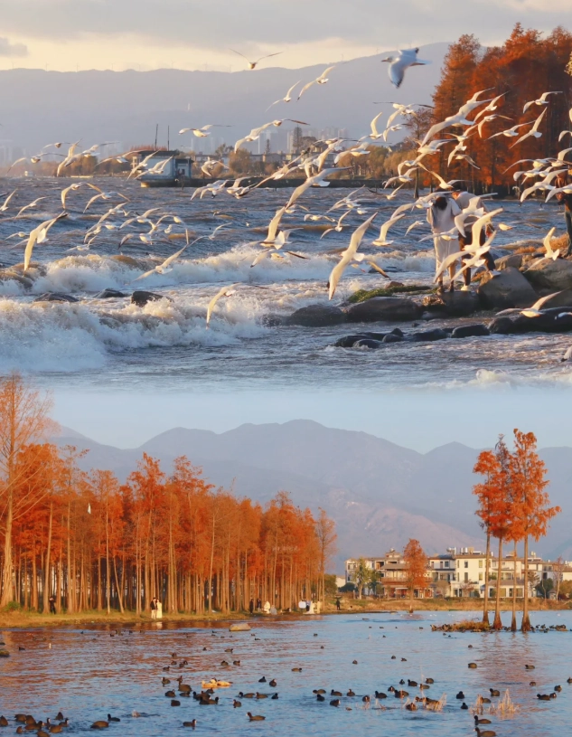 dali yunnan travel tips