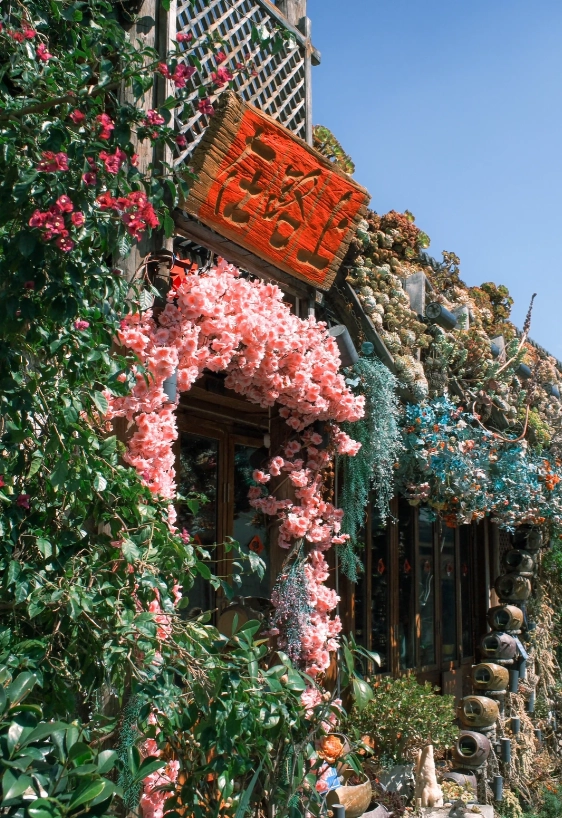 dali yunnan travel