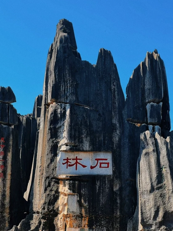 Kunming city tour from airport Kunming city tour from airport