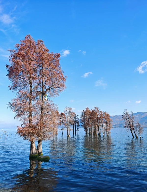 dali backpacking guide dali backpacking guide
