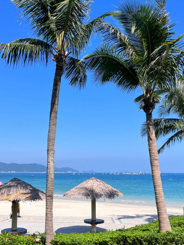 shenzhen 2 day trip plan shenzhen 2 day trip plan
