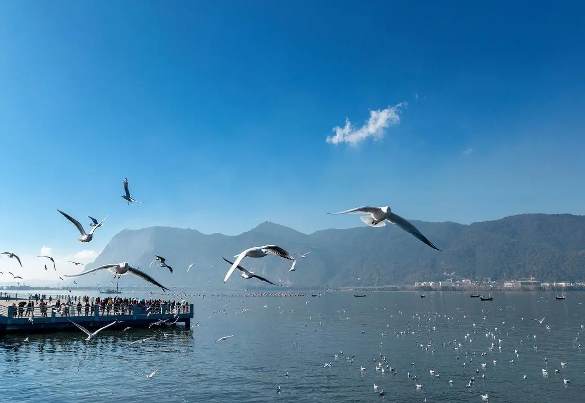 best month to visit kunming
