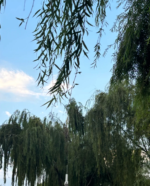 kunming travel tips