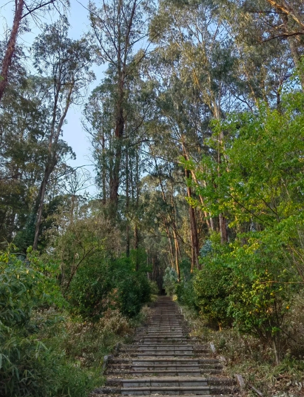 shenzhen family itinerary